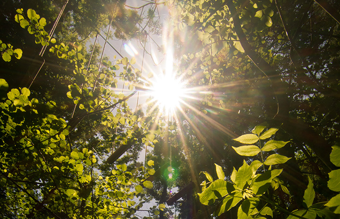 fateralm der muenchner urwald copyright estermann event abenteuer gmbh wasserburg germany